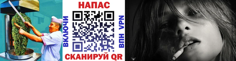 даркнет телеграм  гидра вход  Ростов  Canna-Cookies марихуана 