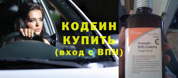 spice Ельня