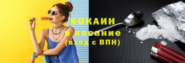 spice Ельня