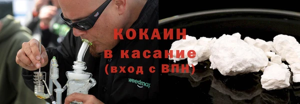 spice Ельня