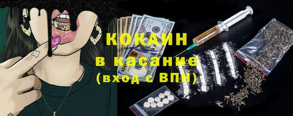 spice Ельня
